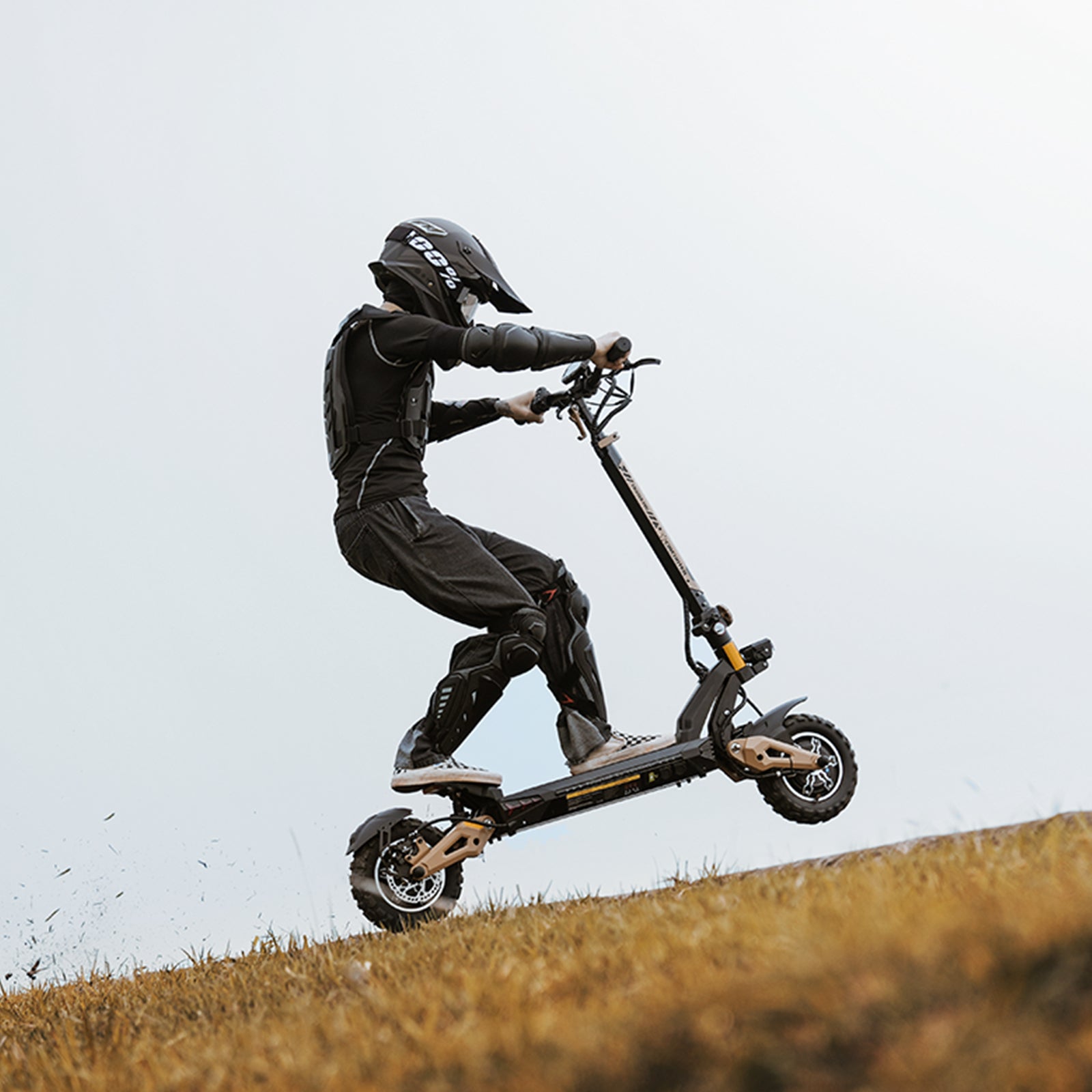 Ultimate Cruiser Dual Motor