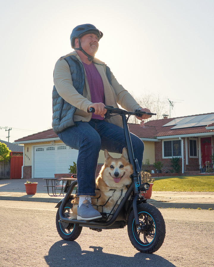 Scooter Hybrid