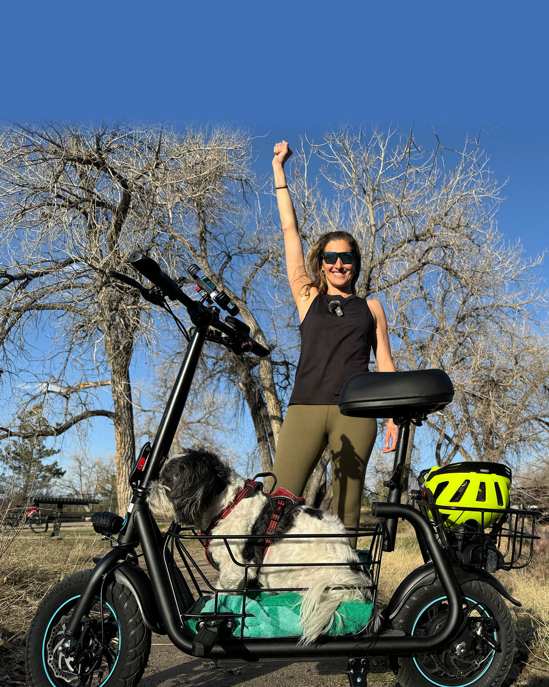 Scooter Hybrid