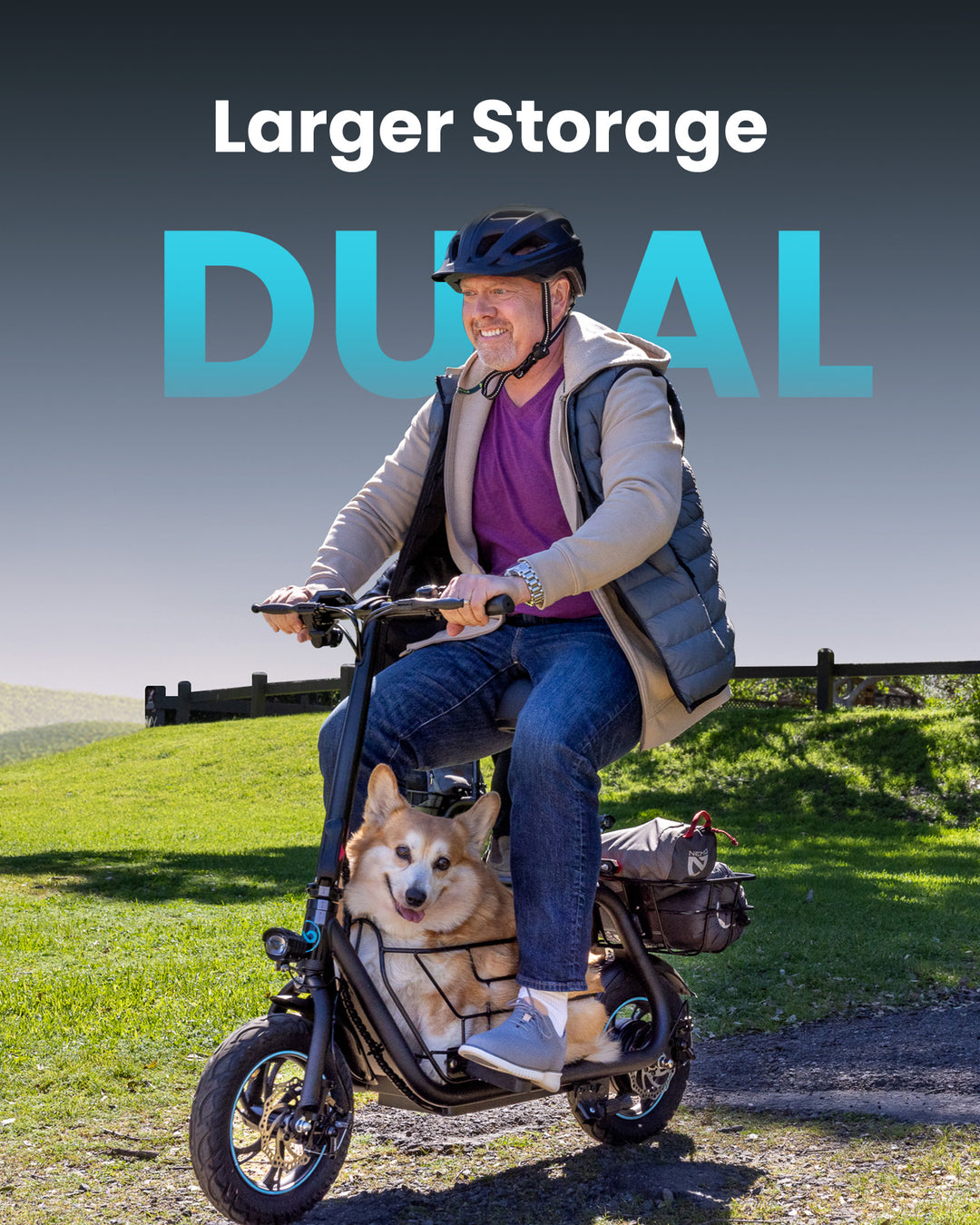 Scooter Hybrid