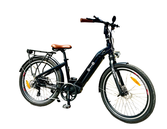 Step-Thru City Cruiser