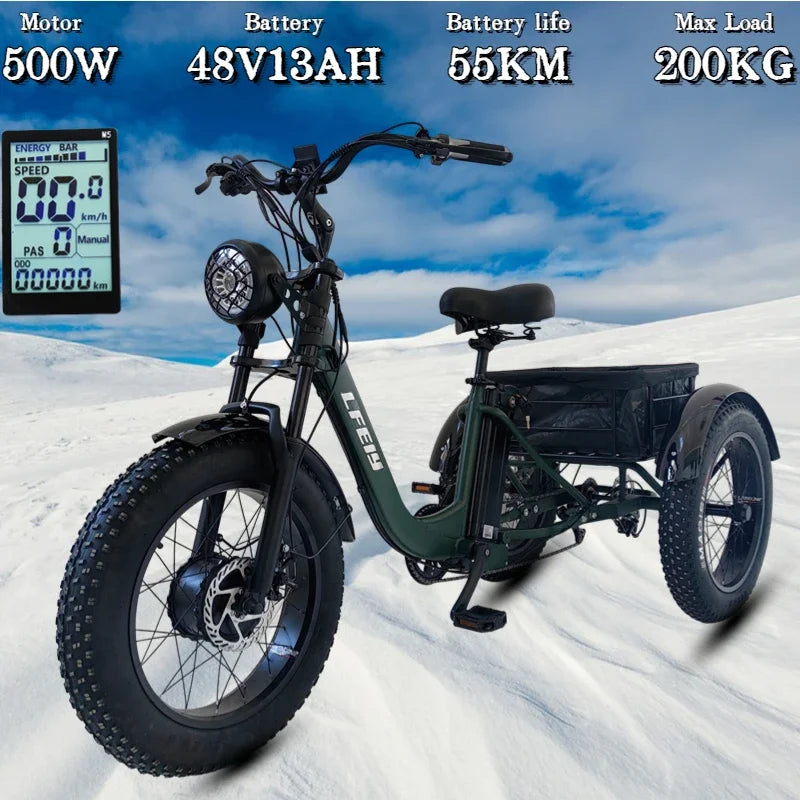 3 Person Travel 3-Wheeled Electric eBike Fat Tire Cargo eBike