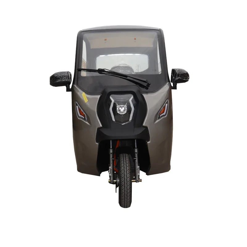 Electric Tricycle 3 Wheel Electric Scooter 60V 1000w Electric eBike 2024