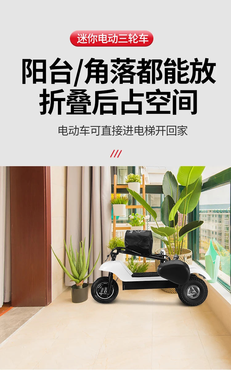 Mobility Chair Mini 2 seater Electric Tricycle Folding Electric eBike Scooter Compact Scooter Reversing Gear