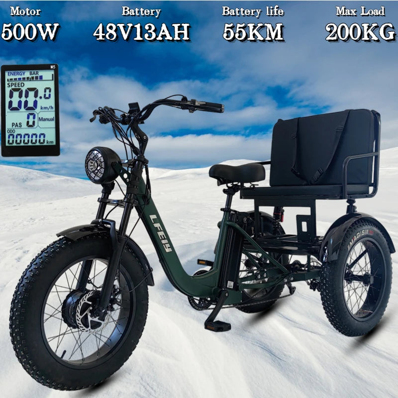 3 Person Travel 3-Wheeled Electric eBike Fat Tire Cargo eBike