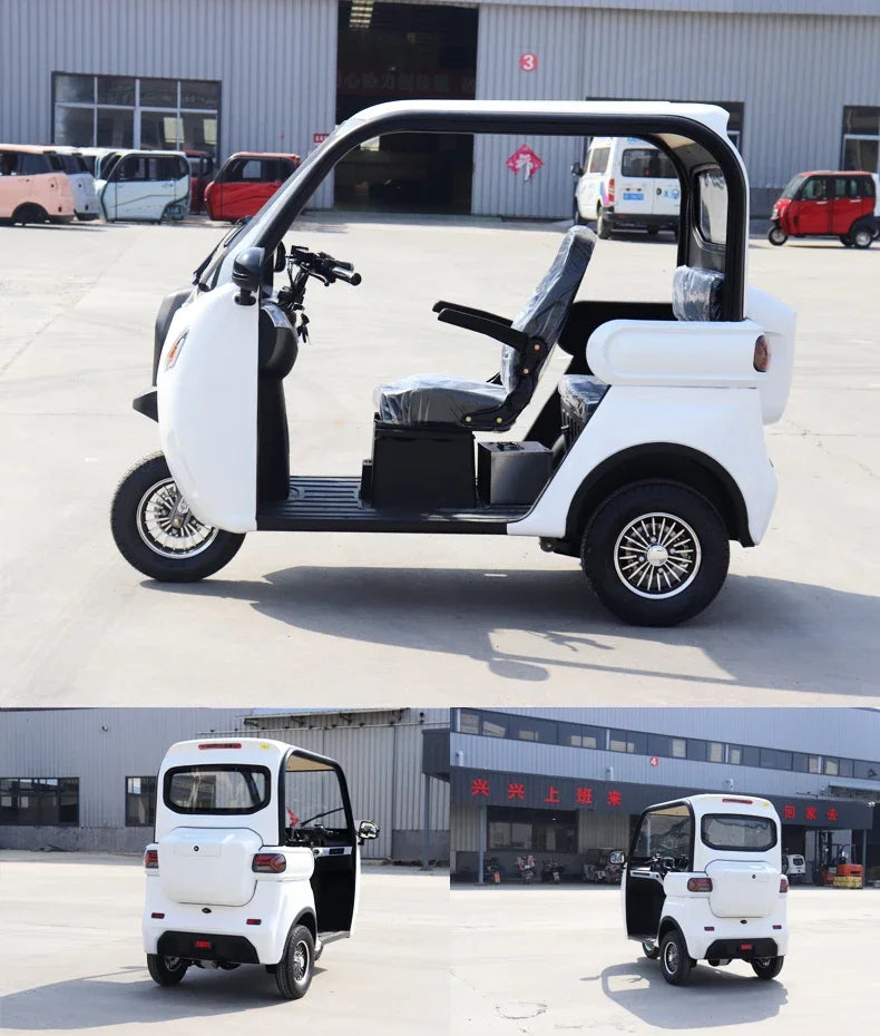 Electric Tricycle 3 Wheel Electric Scooter 60V 1000w Electric eBike 2024