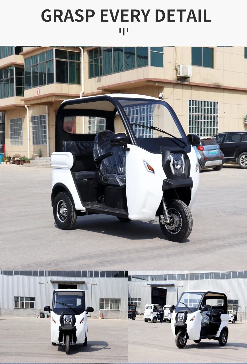 Electric Tricycle 3 Wheel Electric Scooter 60V 1000w Electric eBike 2024