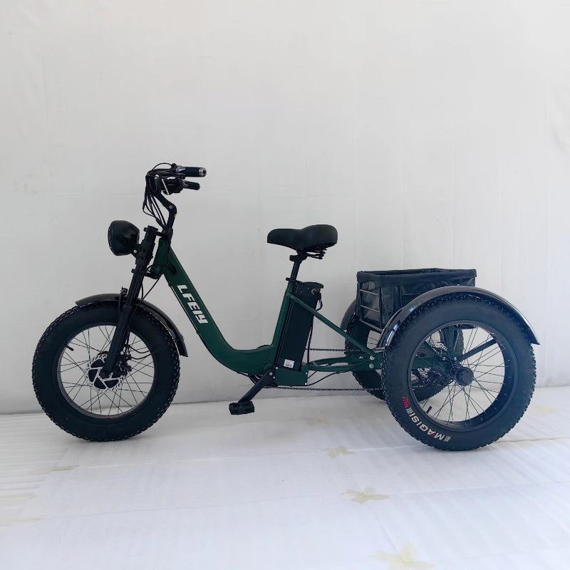 3 Person Travel 3-Wheeled Electric eBike Fat Tire Cargo eBike