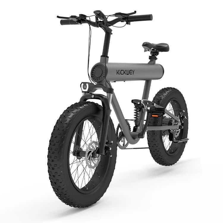 Full Suspension Ebik Kids Electric Bike