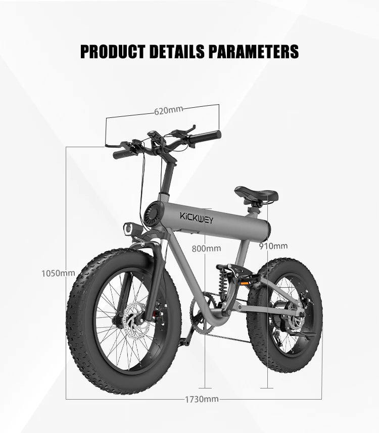 Full Suspension Ebik Kids Electric Bike