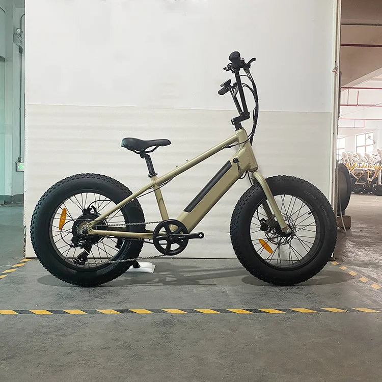 Stylish Fancy Design Kid Ebike 20 Inch Electric Bike Children Bicycle Electric Bike Child With Extra Safety