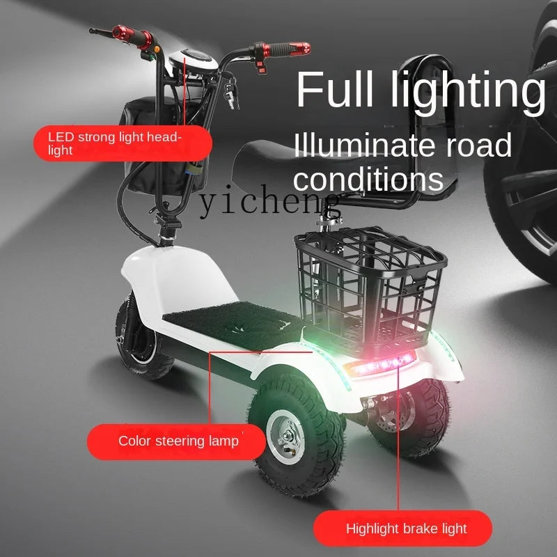 Mobility Chair Mini 2 seater Electric Tricycle Folding Electric eBike Scooter Compact Scooter Reversing Gear