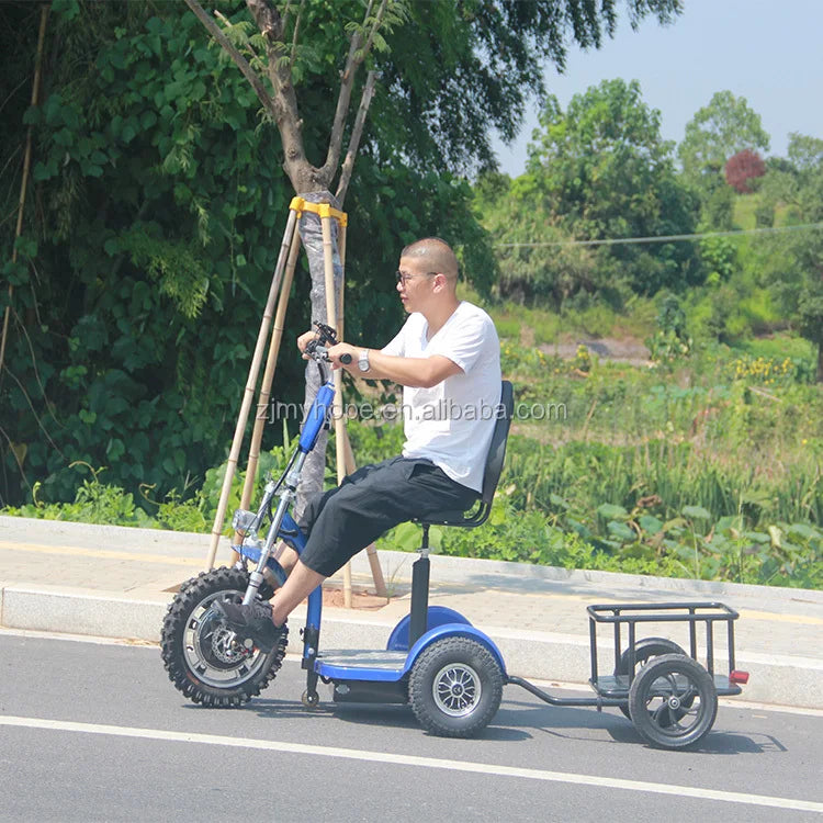 Pet Trailer Tool Trailer for Scooters