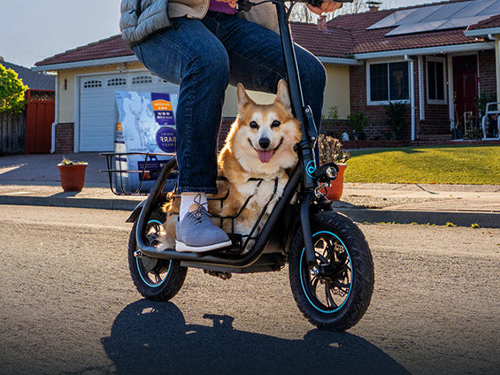 Scooter Hybrid