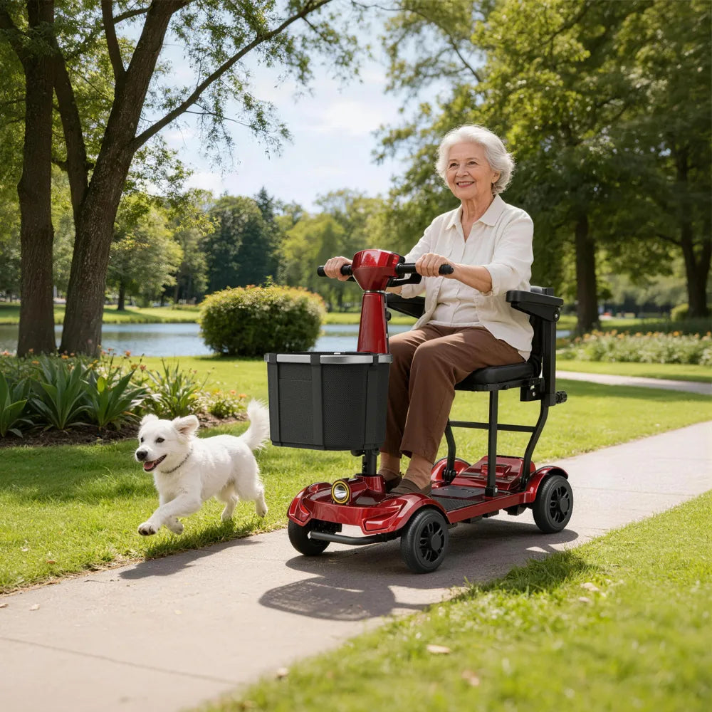 The Travel Long Range Folding Mobility Scooter